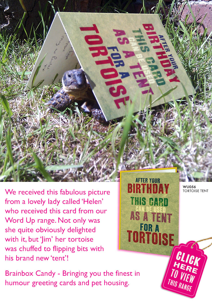 brainbox-candy-tortoise-tent.jpg